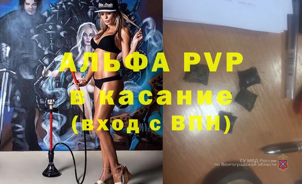 сатива Армянск