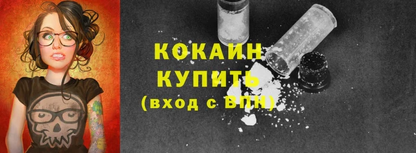 сатива Армянск