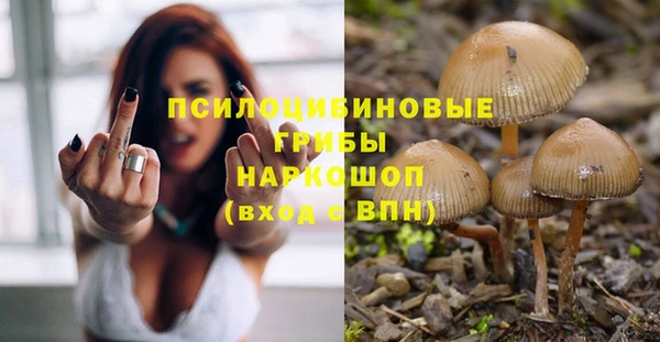 амф Аркадак